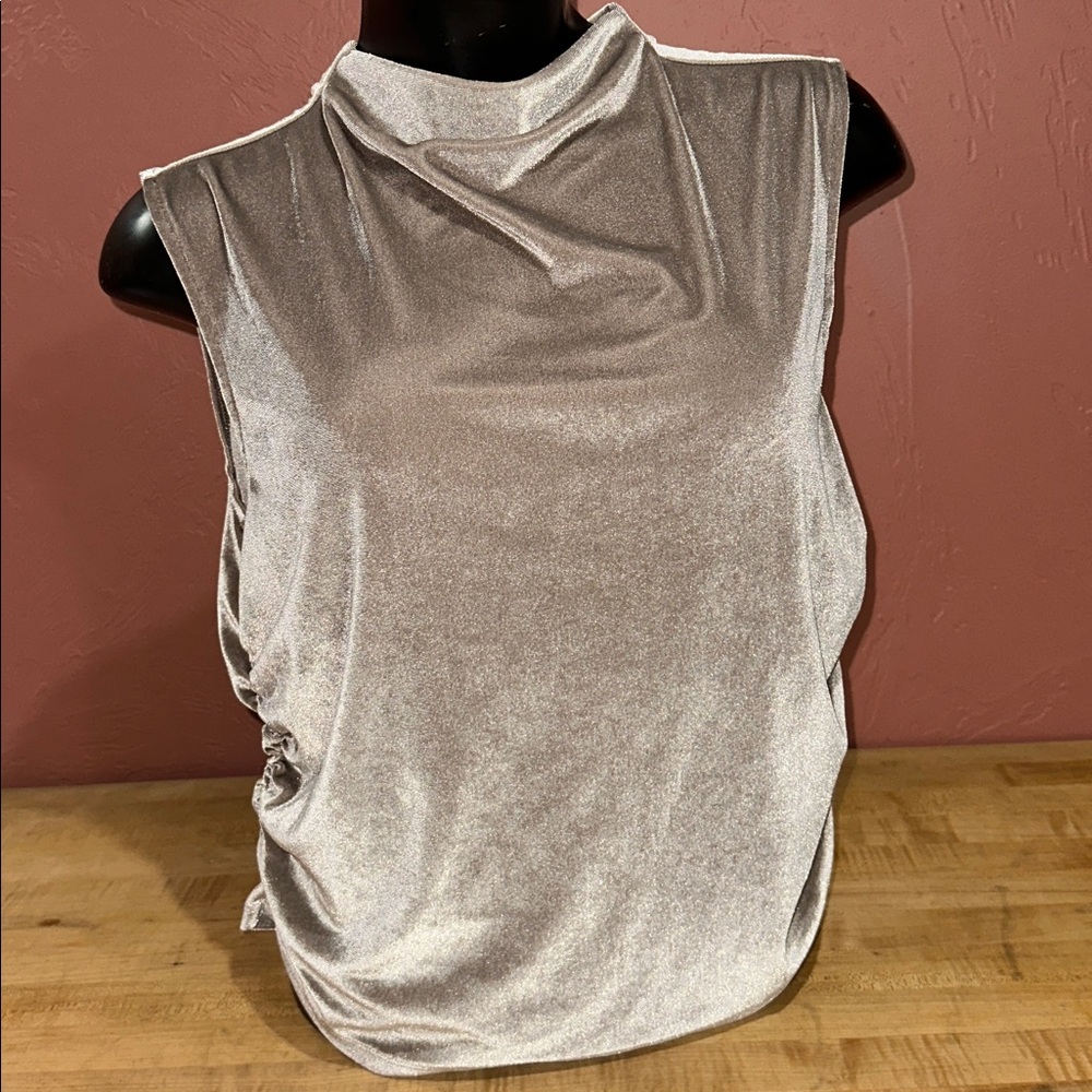 Shimmery Blouse